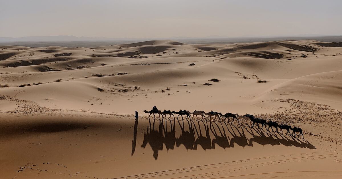 Visitare Il Deserto Del Sahara