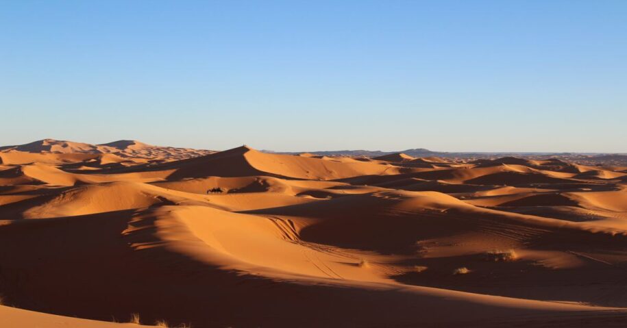 El agente secreto del desierto