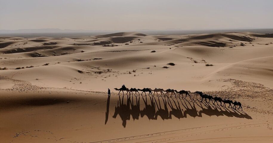 Visitar el desierto del Sáhara