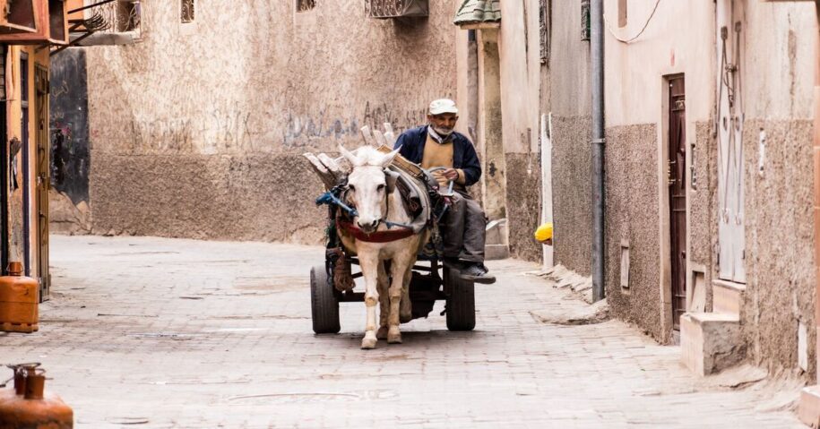 Descubrir la cultura rica de Marrakech