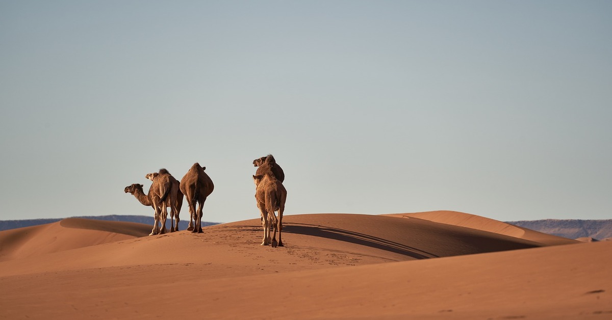 Viajar al sur de Marruecos