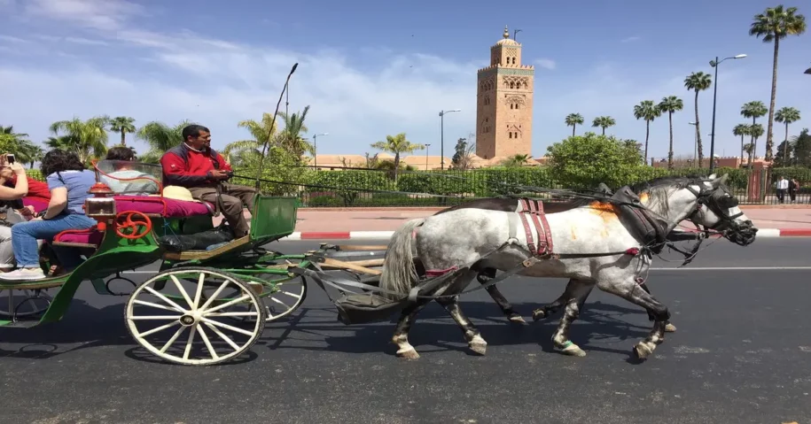 Explorar las ciudades imperiales de Marruecos