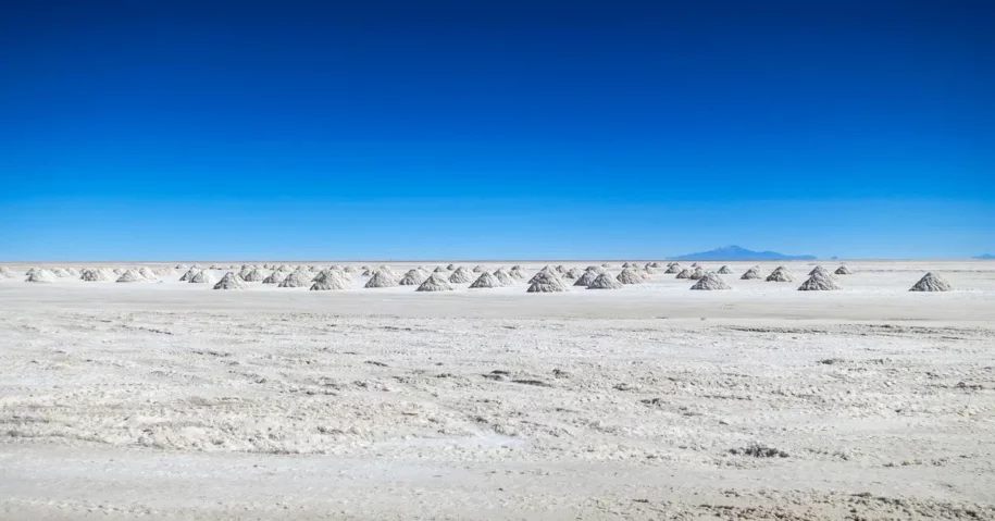 Desierto de Atacama Belleza natural y biodiversidad única