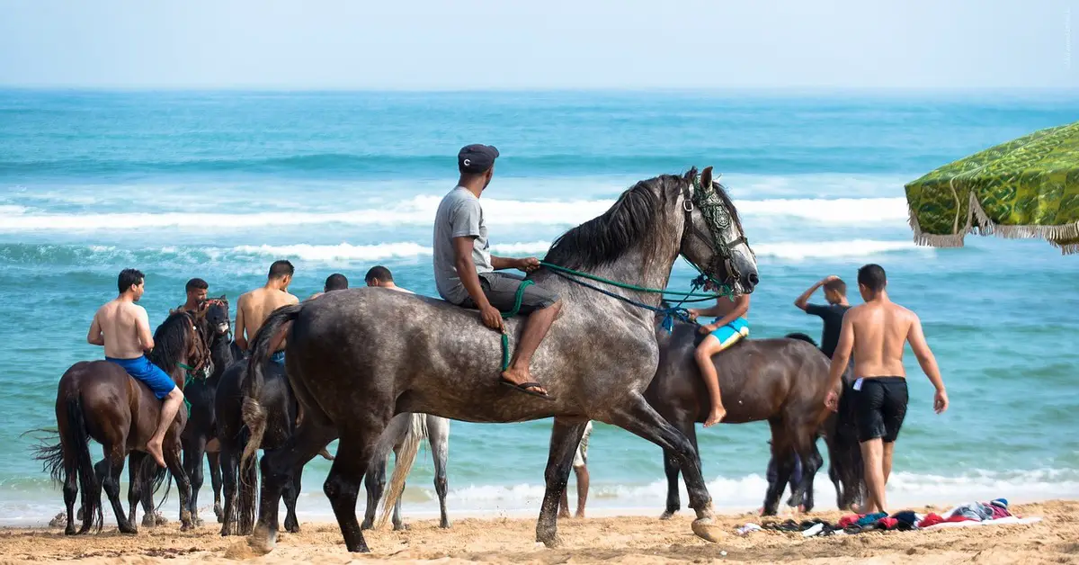 Los 14 mejores resorts de playa de Marruecos