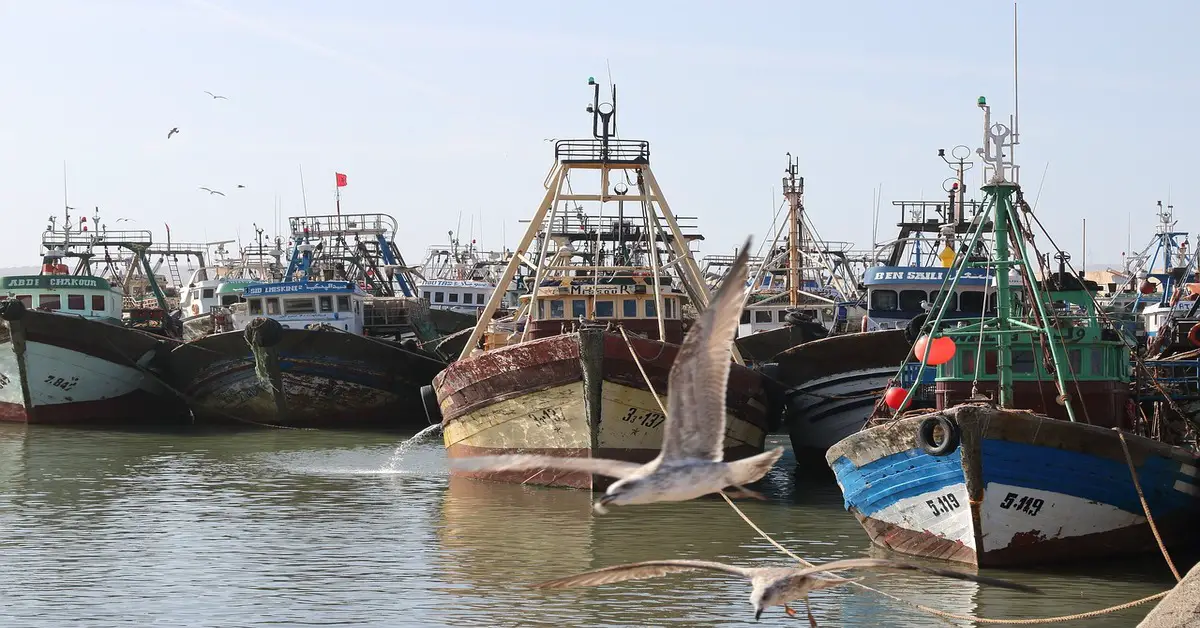 Las 10 mejores cosas que hacer en Essaouira