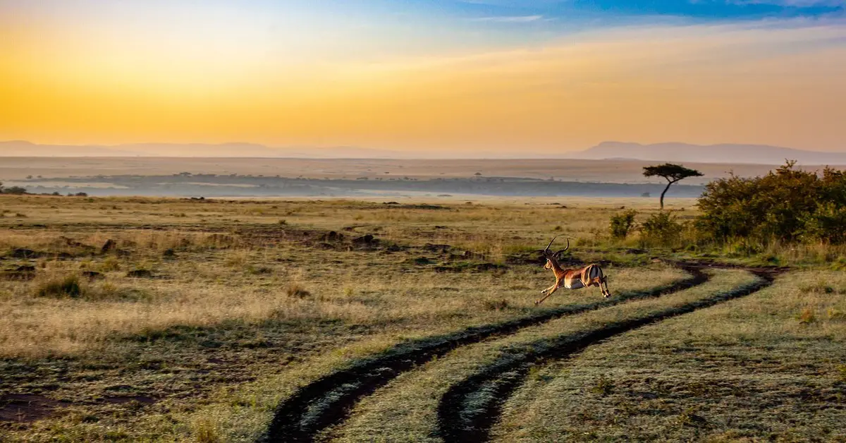 Necesita visado para visitar Kenia?