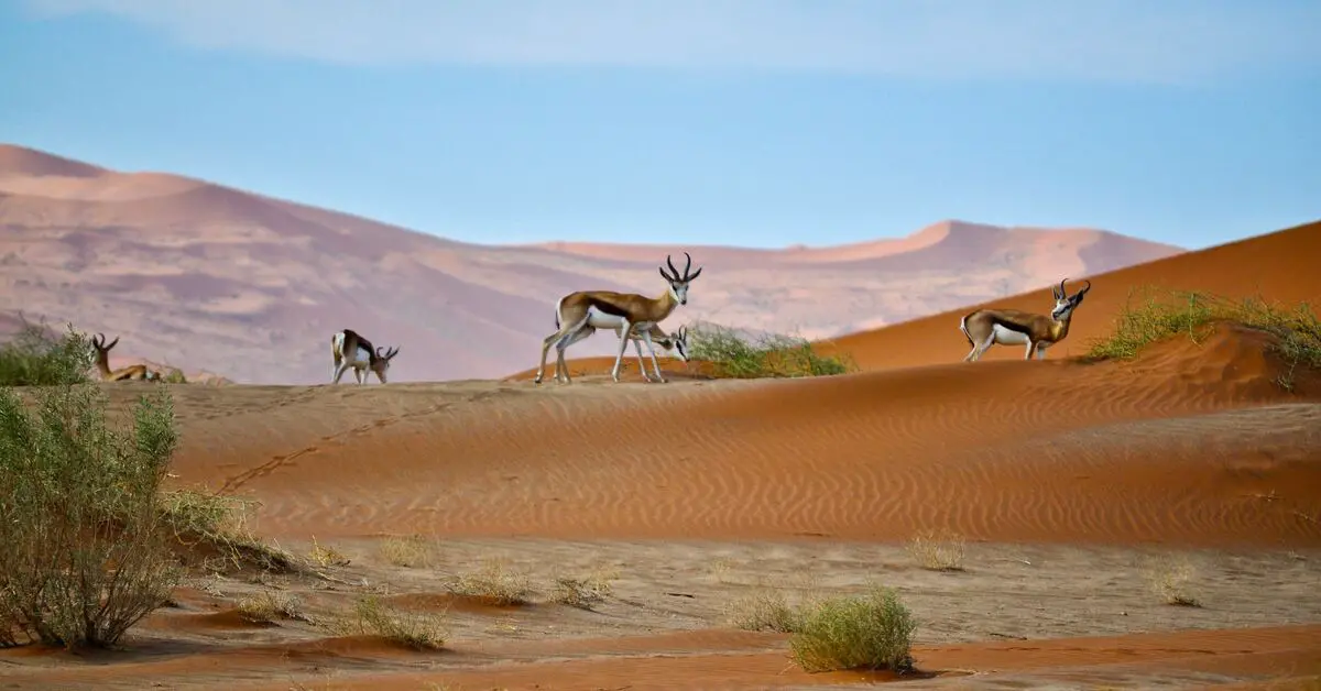 Viajes a medida por Namibia