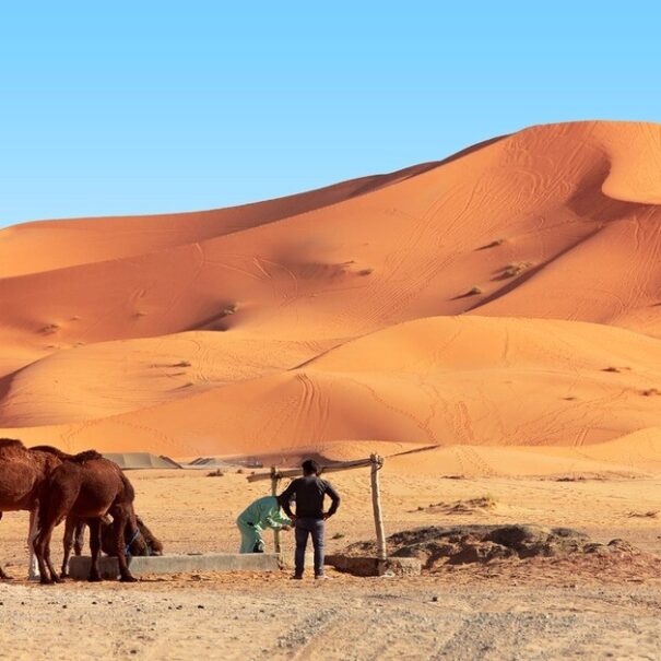 Tour del deserto di 5 giorni da Agadir
