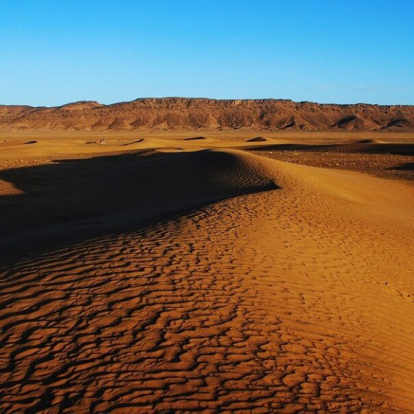 Tour di 2 giorni nel deserto da Ouarzazate
