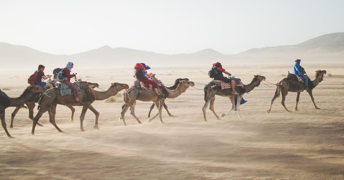 Escursione nel deserto di Marrakech