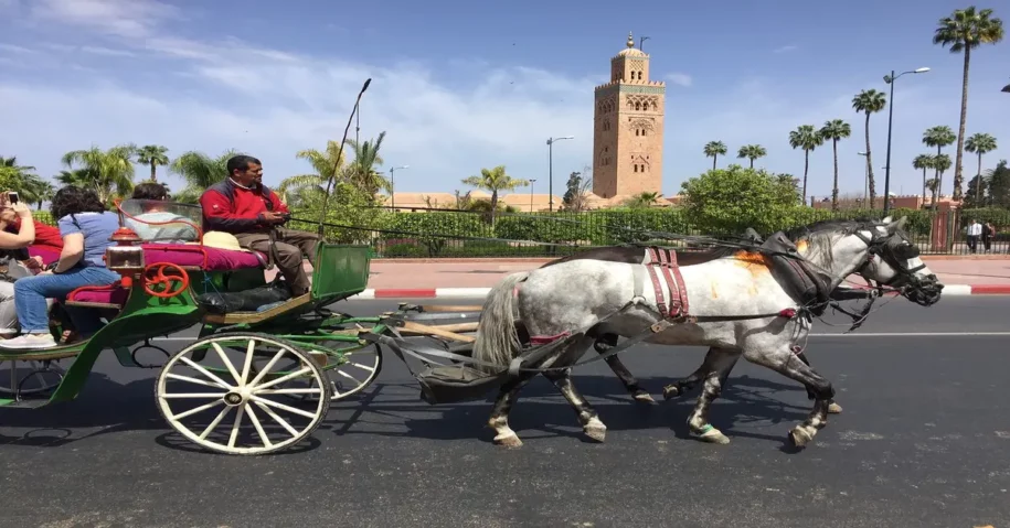 Esplorate le città imperiali del Marocco