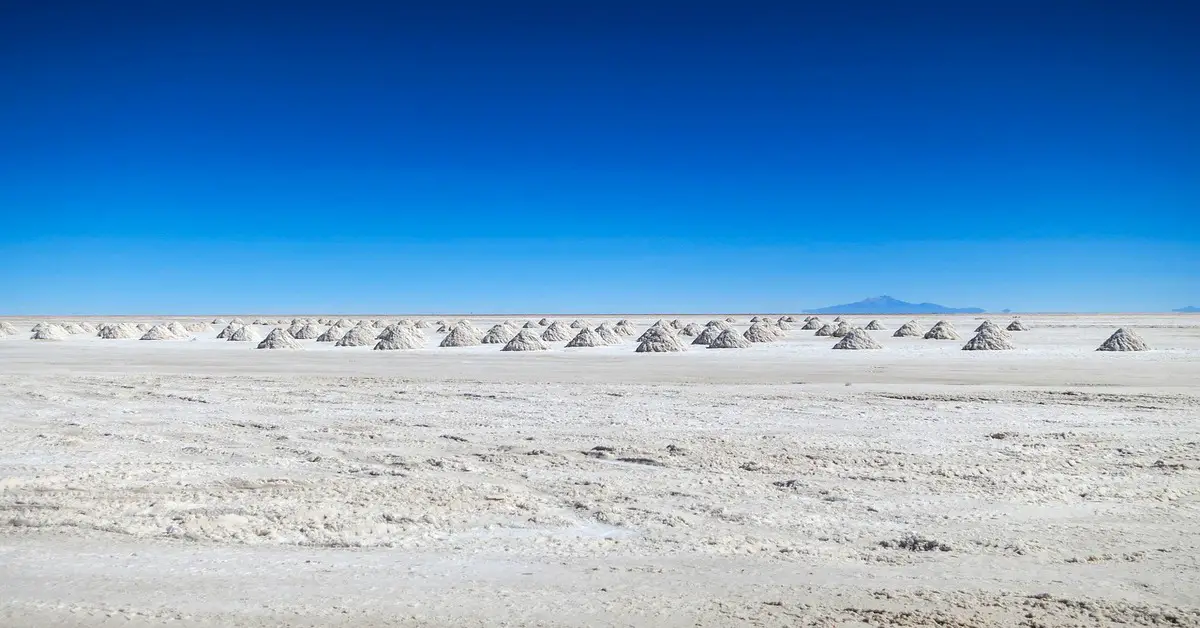 Deserto di Atacama Bellezza naturale e biodiversità unica