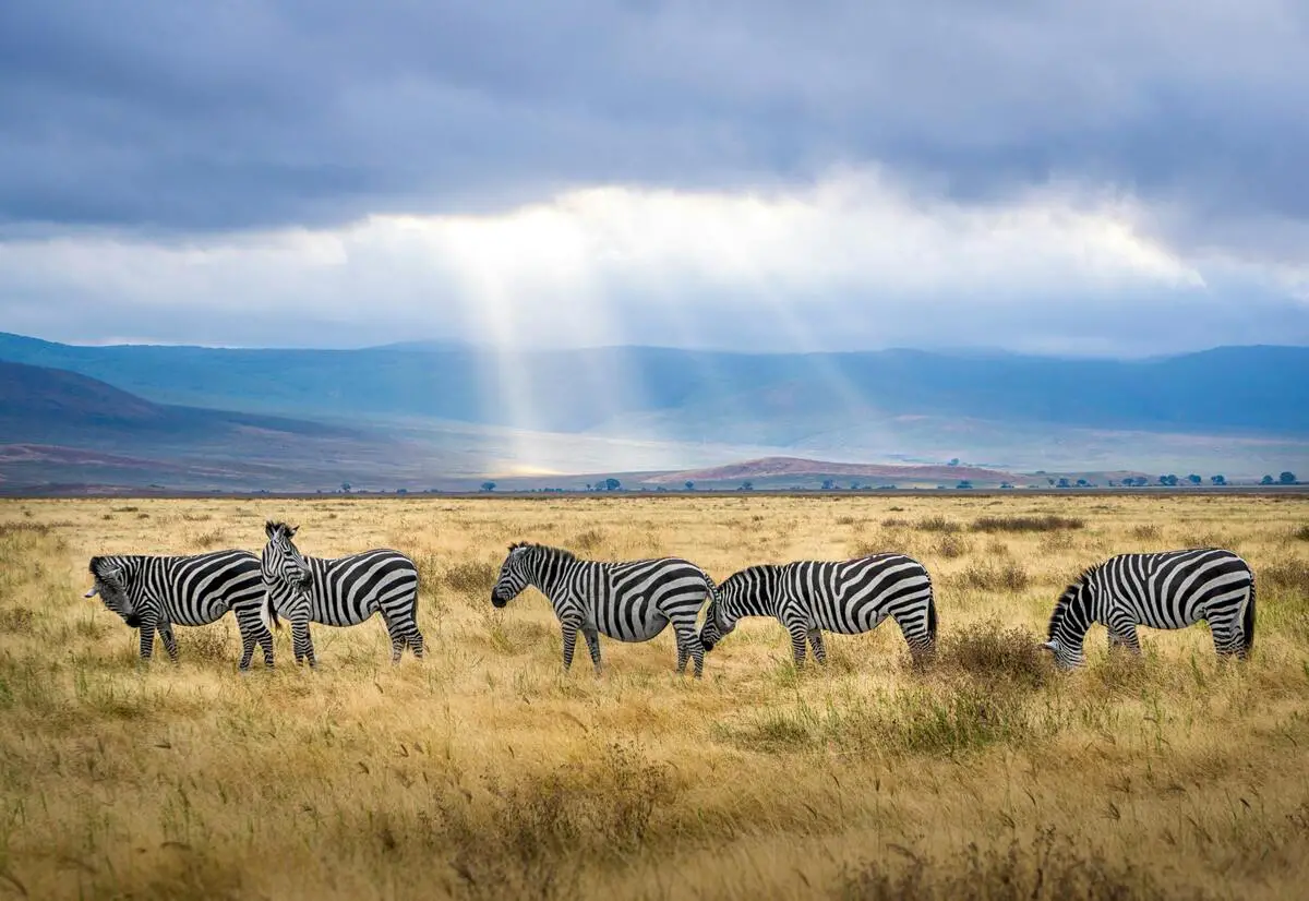 Quando viaggiare nel Sudafrica