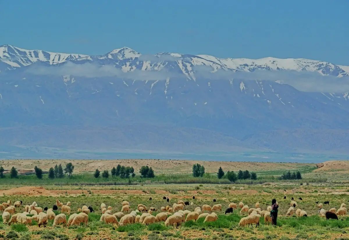 Le 4 regioni turistiche da visitare in Marocco