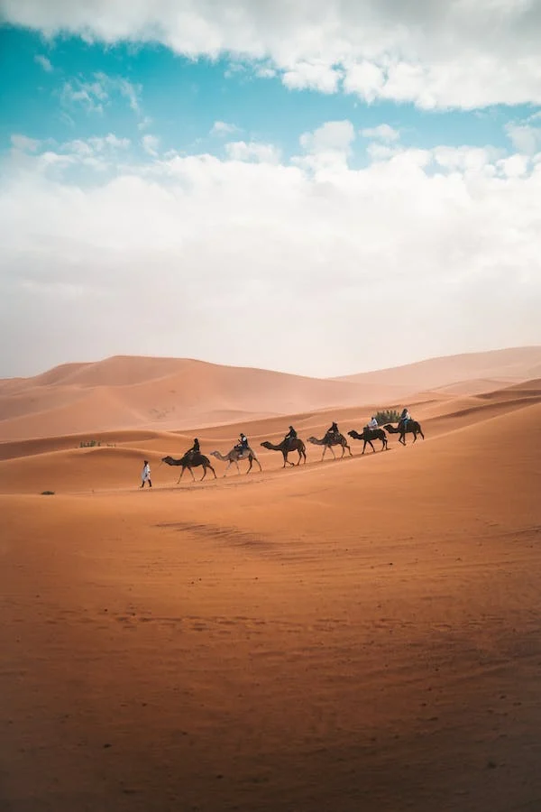 4 Days Desert Tour from Fes to Marrakech