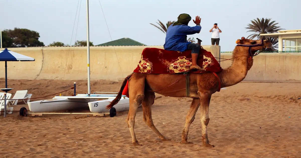 Information about Agadir